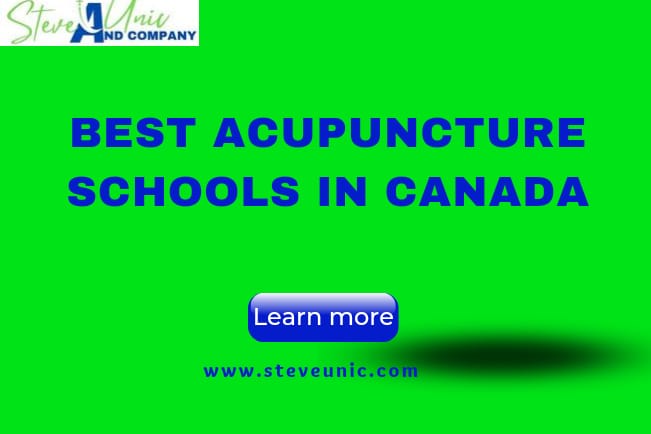 Best Acupuncture Schools In Canada