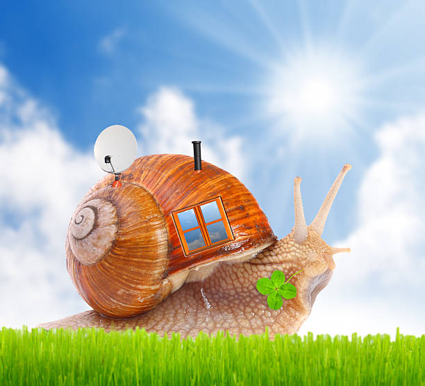 Funy traveler. The snail with his mobil home on the road. Happy holidays concept. Mobile Home Insurance stock pictures, royalty-free photos & images