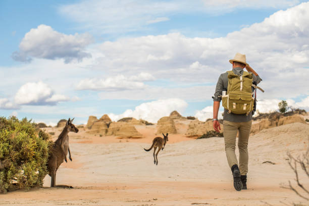 Young man walking in arid desert landscape with photography backpack on an adventure in outback Australia Young man walking in arid desert landscape with photography backpack with kangaroos on an adventure in outback Australia Travelling to Australia  stock pictures, royalty-free photos & images
